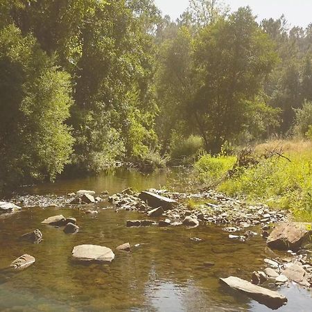 Suites Do Pinhal Proença-a-Nova المظهر الخارجي الصورة