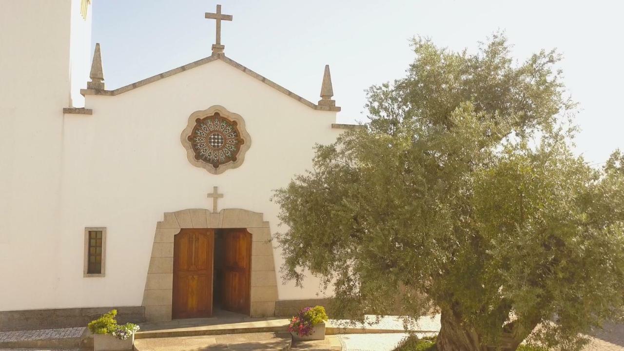 Suites Do Pinhal Proença-a-Nova المظهر الخارجي الصورة