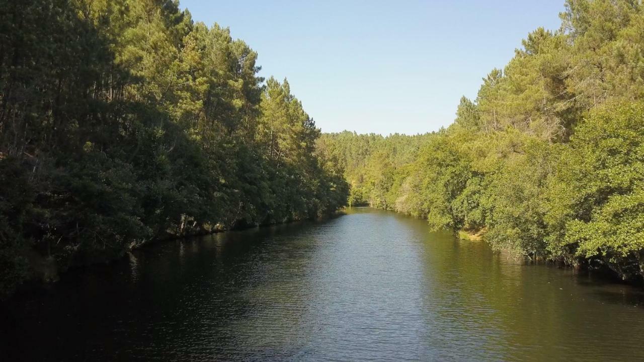 Suites Do Pinhal Proença-a-Nova المظهر الخارجي الصورة