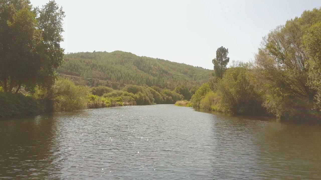 Suites Do Pinhal Proença-a-Nova المظهر الخارجي الصورة